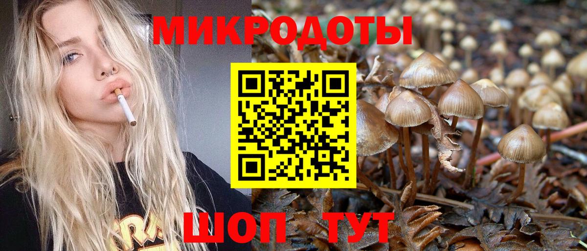 Галлюциногенные грибы MAGIC MUSHROOMS Южно-Сахалинск