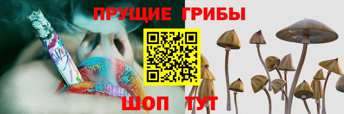 Псилоцибиновые грибы ЛСД  Вход с VPN  Южно-Сахалинск  Псилоцибиновые грибы MAGIC MUSHROOMS 